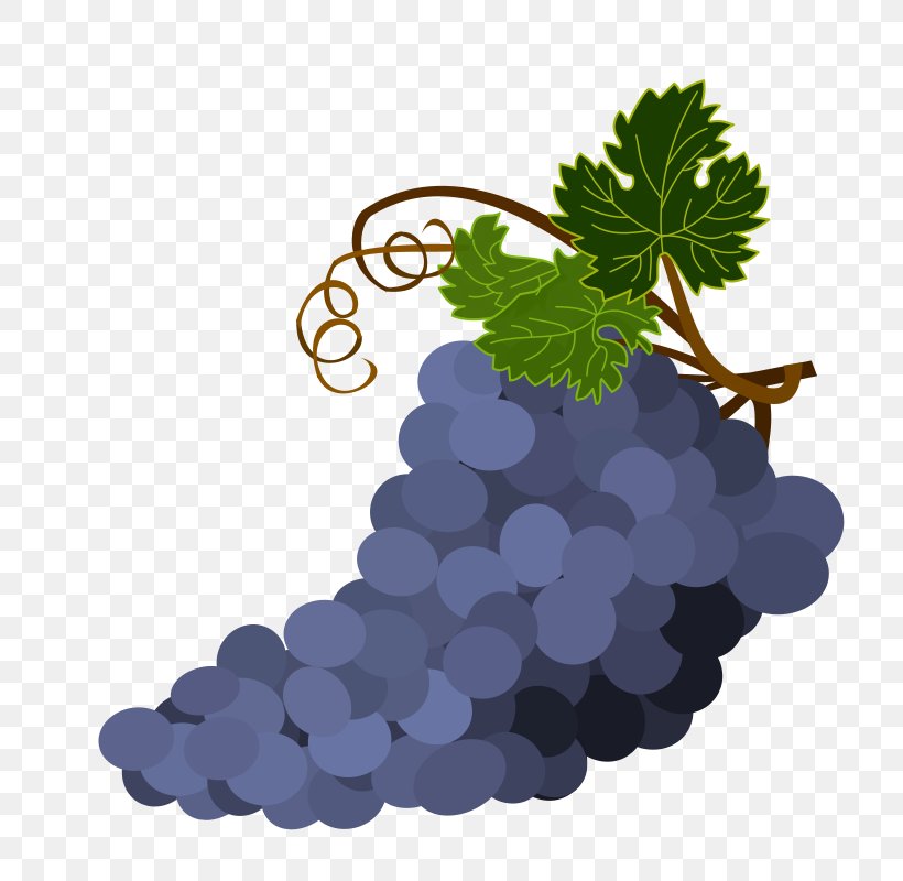 Common Grape Vine Wine Fruit Salad Sultana, PNG, 800x800px, Common Grape Vine, Bilberry, Flowering Plant, Food, Fruit Download Free