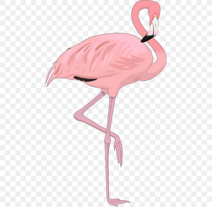 Flamingo Bird Clip Art, PNG, 468x800px, Flamingo, Beak, Bird, Blog, Cartoon Download Free