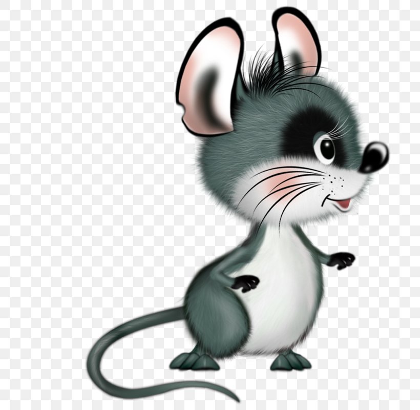 Mouse Rat Food Chain Rodent Muroidea, PNG, 800x800px, Mouse, Animal, Carnivoran, Cartoon, Chain Download Free