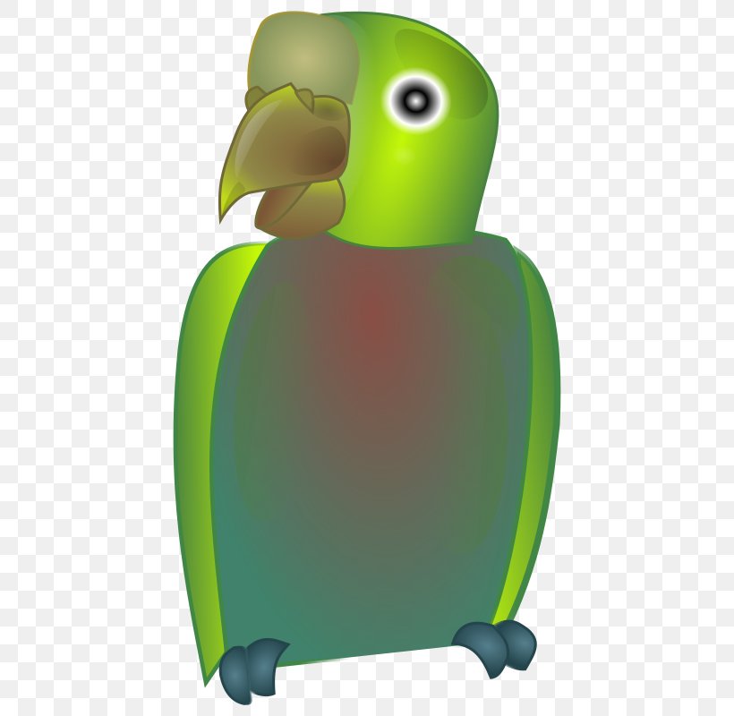 Parrot Bird Beak, PNG, 568x800px, Parrot, Animated Cartoon, Beak, Bird, Flightless Bird Download Free