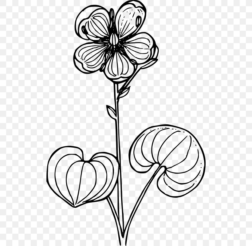 Logo Book: Stefan Kanchev Grass Of Parnassus Drawing Clip Art, PNG, 520x800px, Drawing, Area, Artwork, Black And White, Bud Download Free