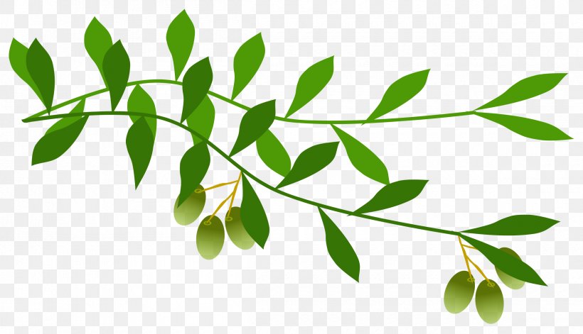 Olive Branch Clip Art, PNG, 2400x1379px, Olive Branch, Branch, Laurel Wreath, Leaf, Olive Download Free
