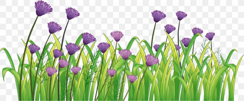 Paper Wall Decal Sticker Polyvinyl Chloride, PNG, 1280x532px, Paper, Bud, Chives, Crocus, Decal Download Free