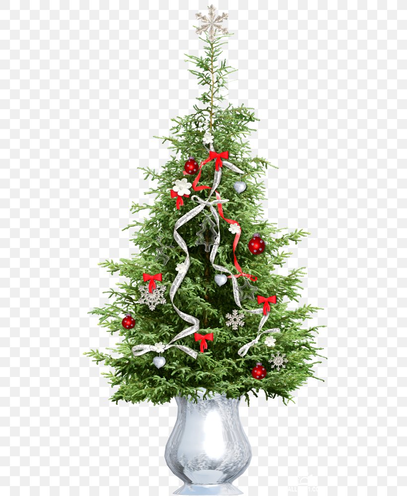 Spruce Pine Christmas Tree Cedar, PNG, 500x1000px, Spruce, Balsam Fir, Cedar, Christmas, Christmas Decoration Download Free