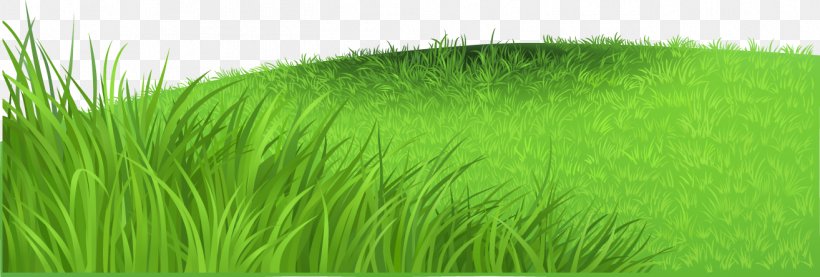 Vetiver Wheatgrass Horse Lawn Book, PNG, 1314x445px, Vetiver, Audiobook, Book, Child, Chrysopogon Download Free