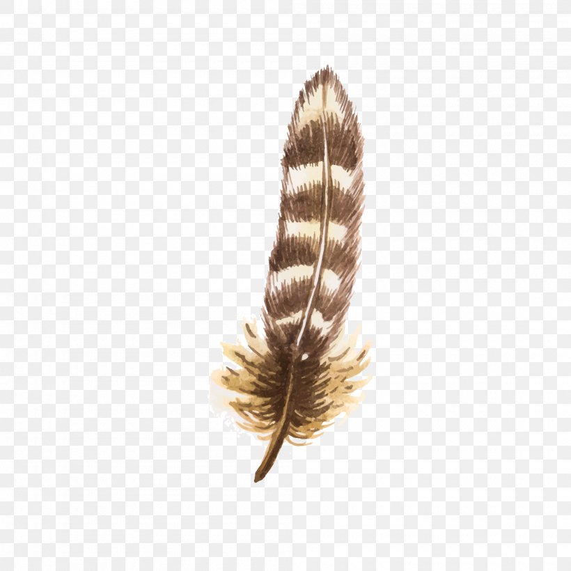 Bird Feather Euclidean Vector, PNG, 2000x2000px, Bird, Feather, Material, Resource, Royaltyfree Download Free