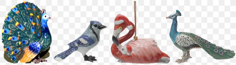 Macaw Beak Feather Wing Blue Jay, PNG, 1600x446px, Macaw, Animal, Animal Figure, Beak, Bird Download Free