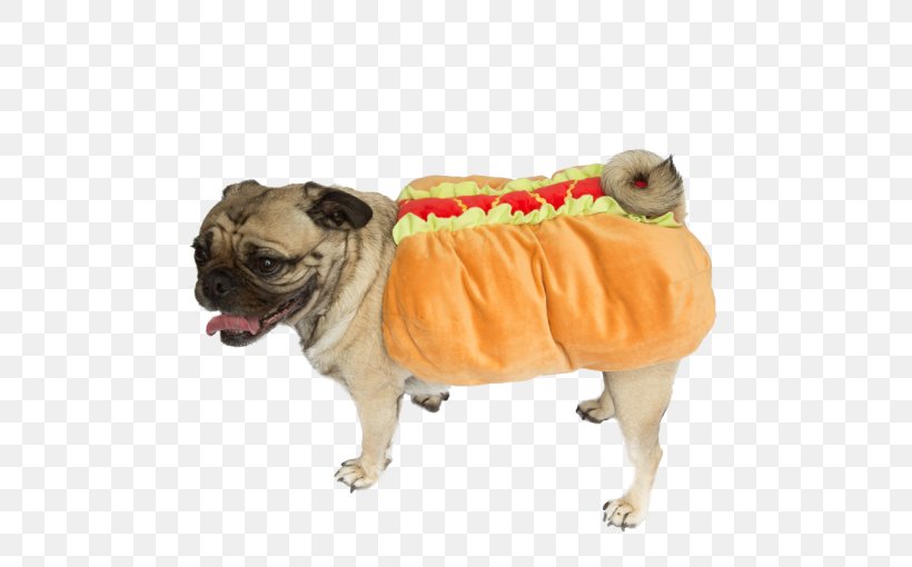Pug Hot Dog Dachshund Puppy Beagle, PNG, 510x510px, Pug, Beagle, Carnivoran, Clothing, Companion Dog Download Free