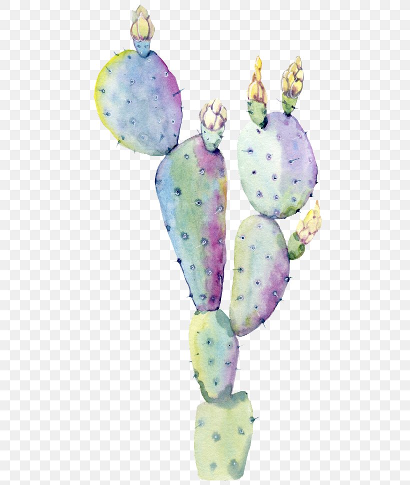Saguaro Watercolor Painting Cactus Drawing Royalty-free, PNG, 480x969px, Saguaro, Art, Barbary Fig, Botany, Cactus Download Free