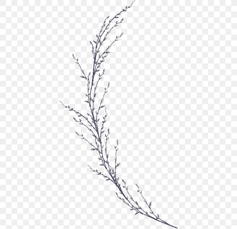 Twig Plant Stem Leaf Line Art Flower, PNG, 412x793px, Twig, Black And White, Branch, Drawing, Flora Download Free