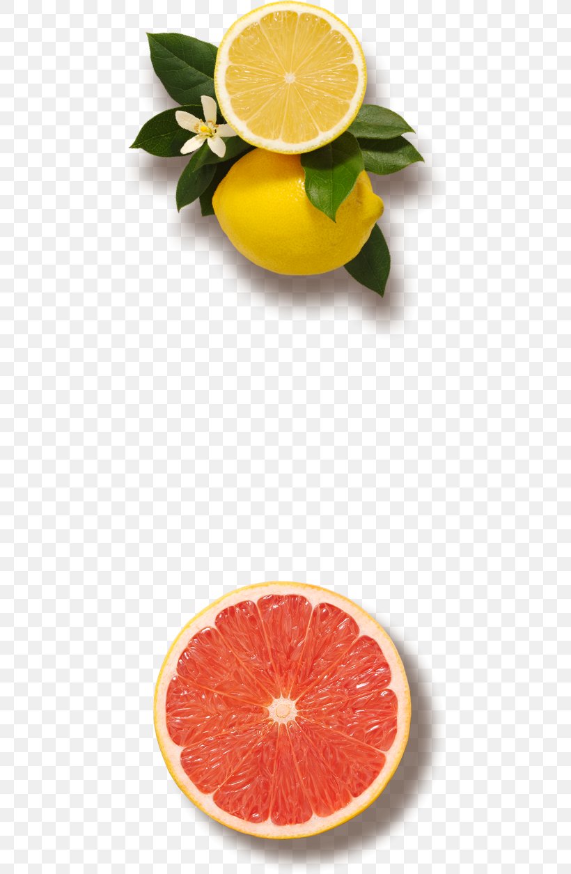 Blood Orange Grapefruit Juice Orange Juice, PNG, 470x1255px, Blood Orange, Bitters, Citric Acid, Citrus, Concentrate Download Free