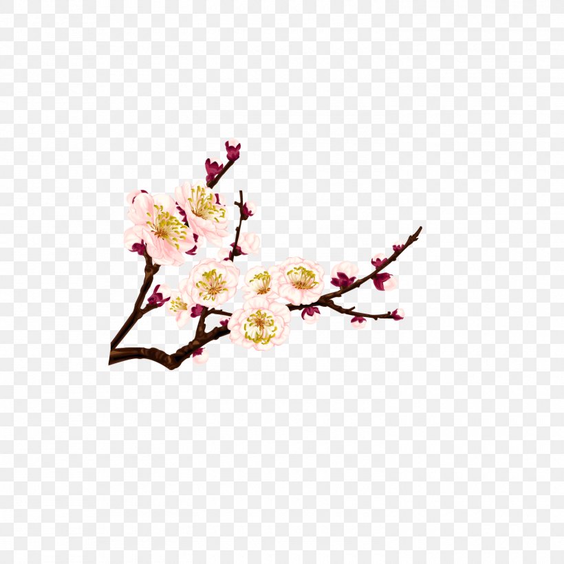 Plum, PNG, 1500x1500px, Plum Blossom, Artificial Flower, Blossom, Branch, Cherry Blossom Download Free