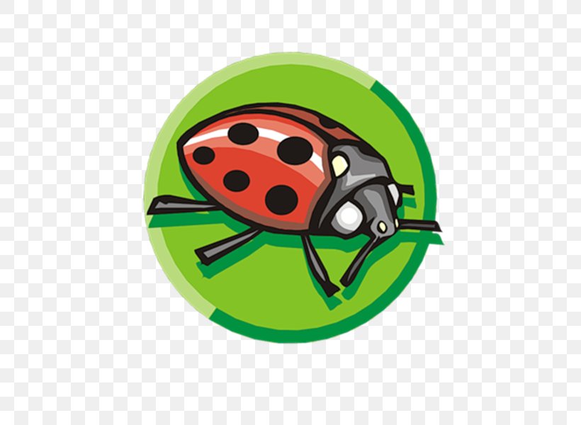 Ladybird Insect Clip Art, PNG, 600x600px, 2017, Ladybird, Beetle, Crop Protection, Fruit Download Free