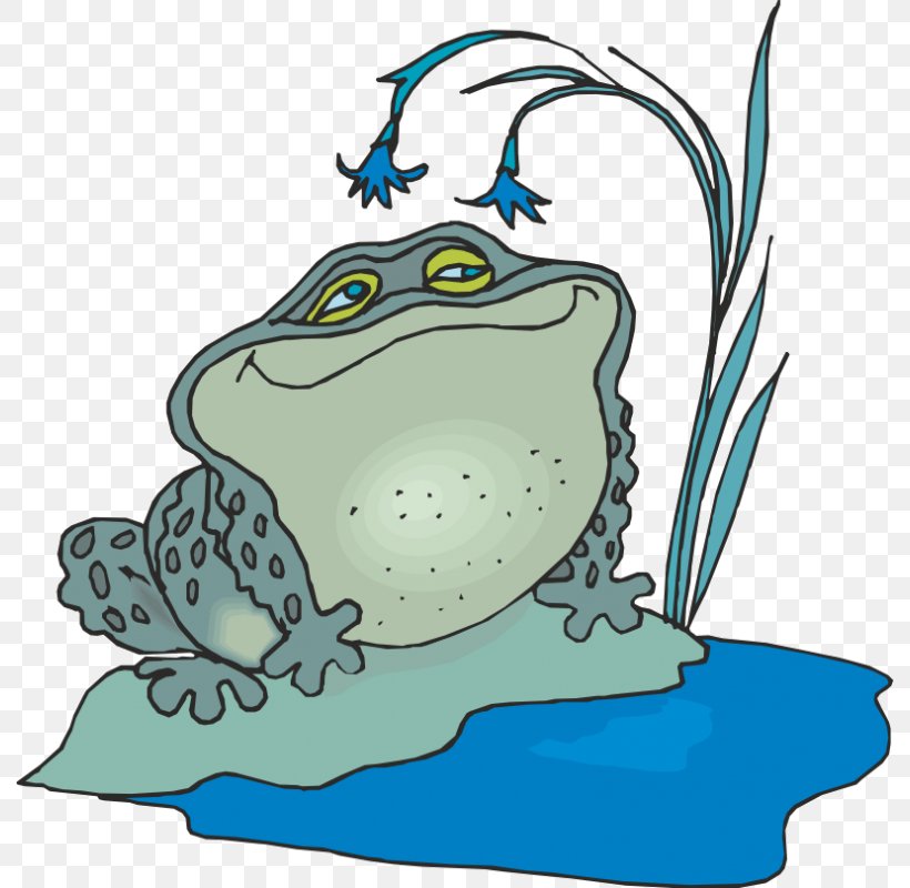 Toad Frogs Matter Windows Metafile Clip Art, PNG, 800x800px, Toad, Amphibian, Artwork, Fish, Frog Download Free