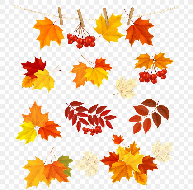 Autumn, PNG, 6136x6031px, Autumn, Autumn Leaf Color, Branch, Cut Flowers, Floral Design Download Free
