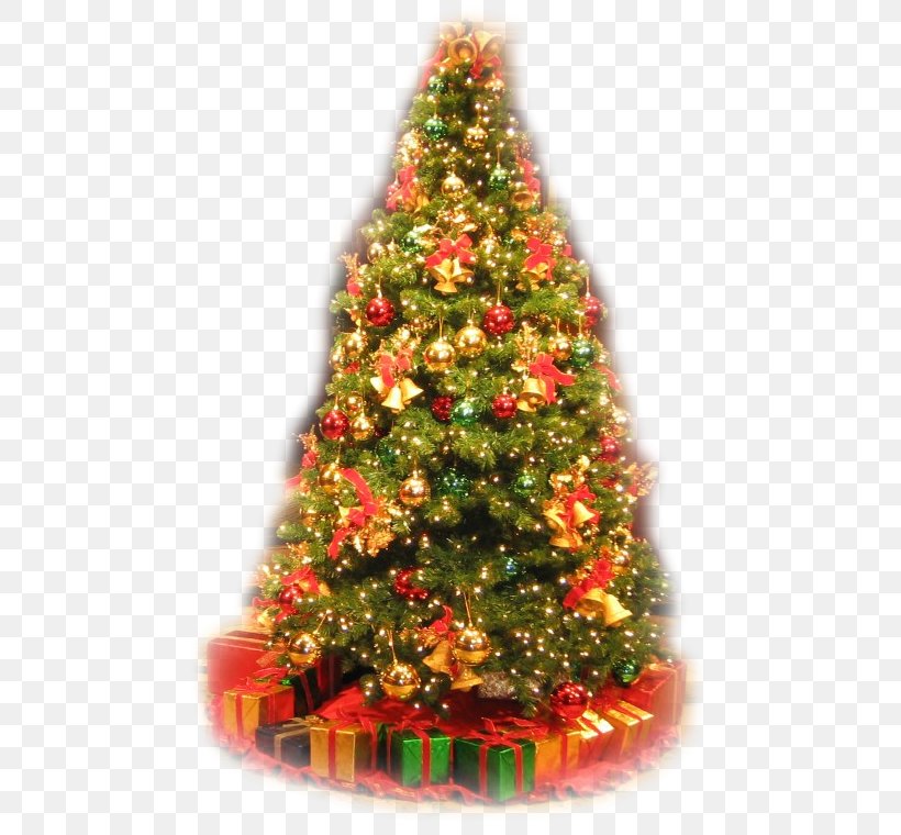 Christmas Tree Christmas Market Tradition, PNG, 662x760px, Christmas, Angel, Christmas Decoration, Christmas In Hungary, Christmas Market Download Free