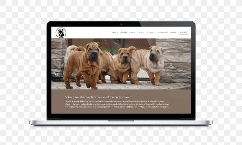 Dog Breed Multimedia Video Snout, PNG, 1024x614px, Dog Breed, Brand, Breed, Carnivoran, Dog Download Free