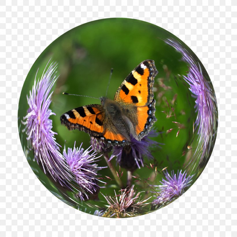 Monarch Butterfly Crystal Ball Pieridae, PNG, 1280x1280px, Monarch Butterfly, Ball, Brush Footed Butterfly, Brushfooted Butterflies, Butterflies And Moths Download Free