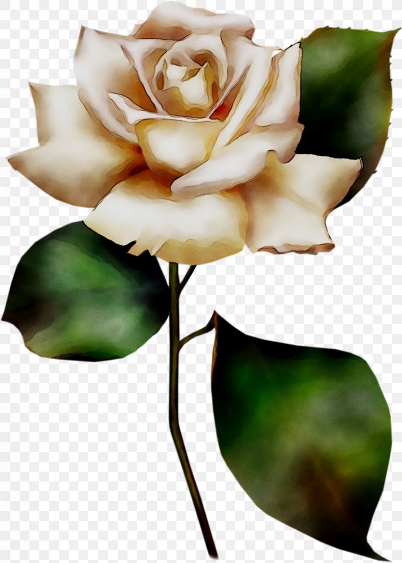 Clip Art Image Flower Painting, PNG, 849x1187px, Flower, Art, Art Museum, Artificial Flower, Botany Download Free