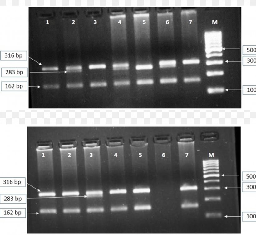 Scientific Journal Journal Of Biotechnology Butyrophilin Research Electronics, PNG, 2125x1954px, Scientific Journal, Audio Equipment, Biotechnology, Black And White, Electronic Component Download Free