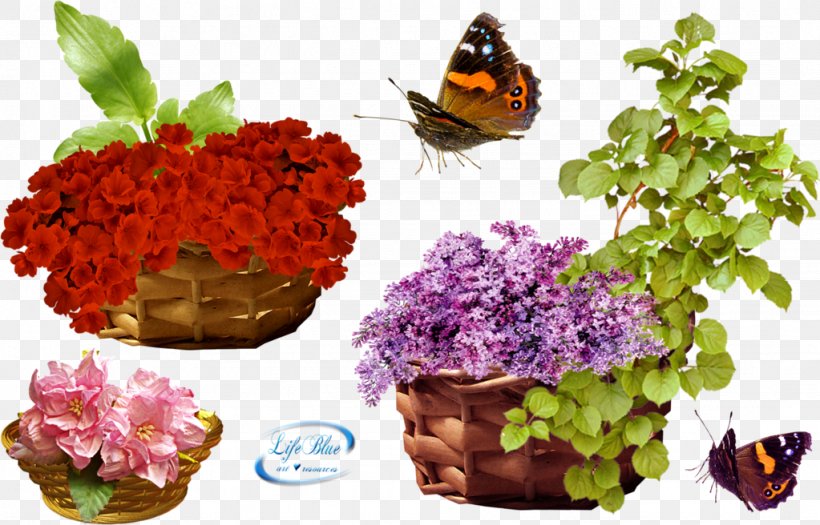 Flower Download Clip Art, PNG, 1023x656px, Flower, Butterfly, Deviantart, Flowerpot, Herb Download Free