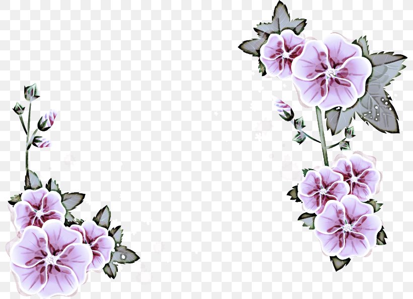 Flower Petal Plant, PNG, 800x594px, Flower, Petal, Plant Download Free