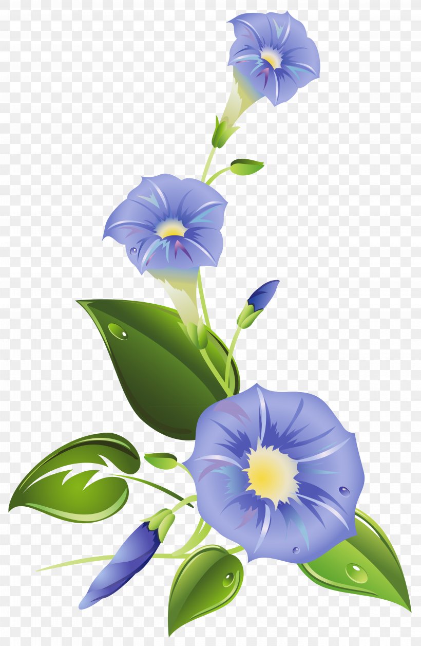 Ipomoea Purpurea Ipomoea Indica Ipomoea Carnea Flower Clip Art, PNG, 5390x8265px, Ipomoea Purpurea, Blue, Flora, Floral Design, Floristry Download Free