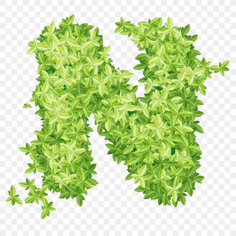 Leaf Xd1, PNG, 1000x1000px, Leaf, Alphabet, Ivy, Leaf Vegetable, Letter Download Free