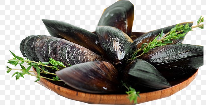 Seafood Background, PNG, 800x421px, Mussel, Bivalve, Bulgur, Clam, Food Download Free