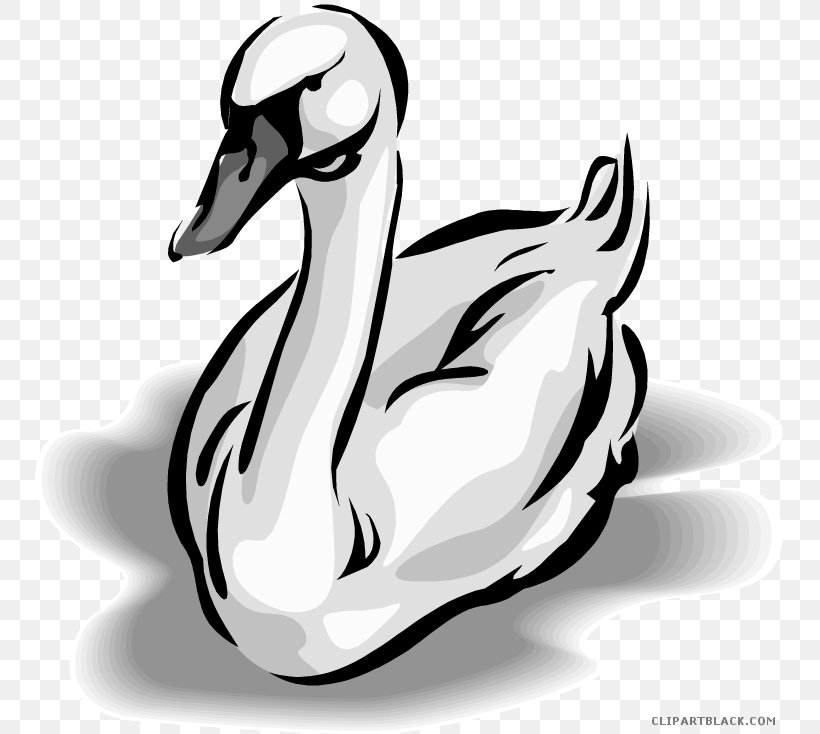 Goose Duck Clip Art Mute Swan Black Swan, PNG, 750x734px, Goose, Artwork, Beak, Bird, Black And White Download Free