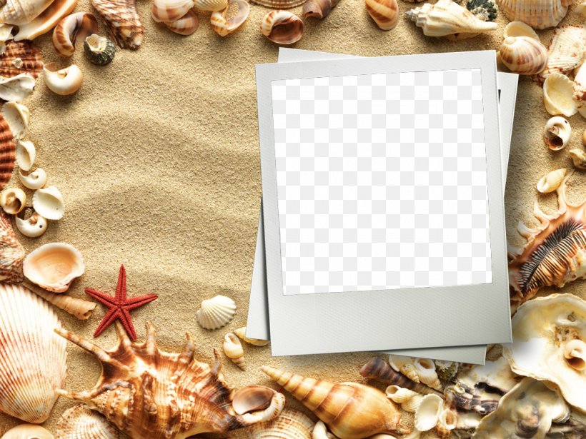 Picture Frame, PNG, 1024x768px, Picture Frame, Fashion Accessory, Natural Material, Pearl, Shell Download Free