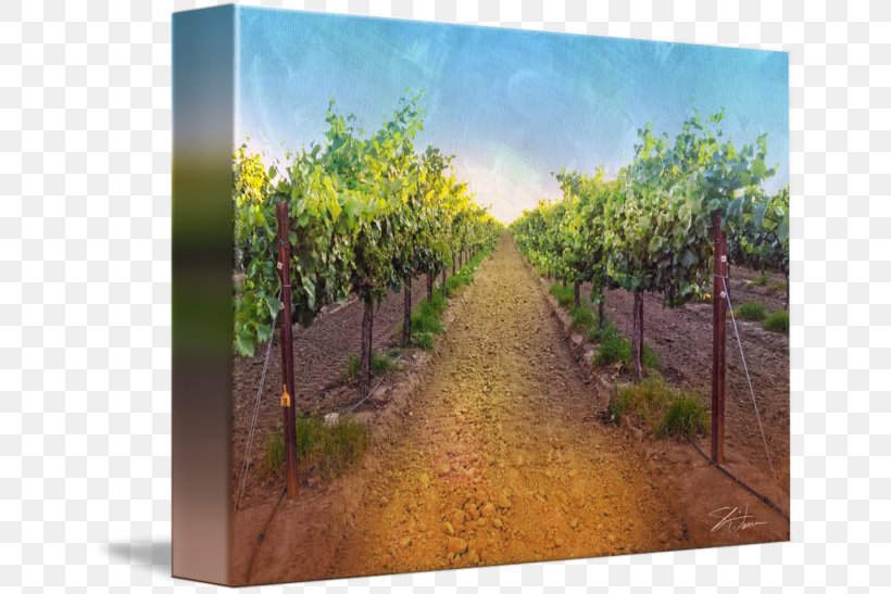 Pinot Noir Wine Acrylic Paint Printing Canvas Print, PNG, 650x547px, Pinot Noir, Acrylic Paint, Agriculture, Art, Canvas Download Free