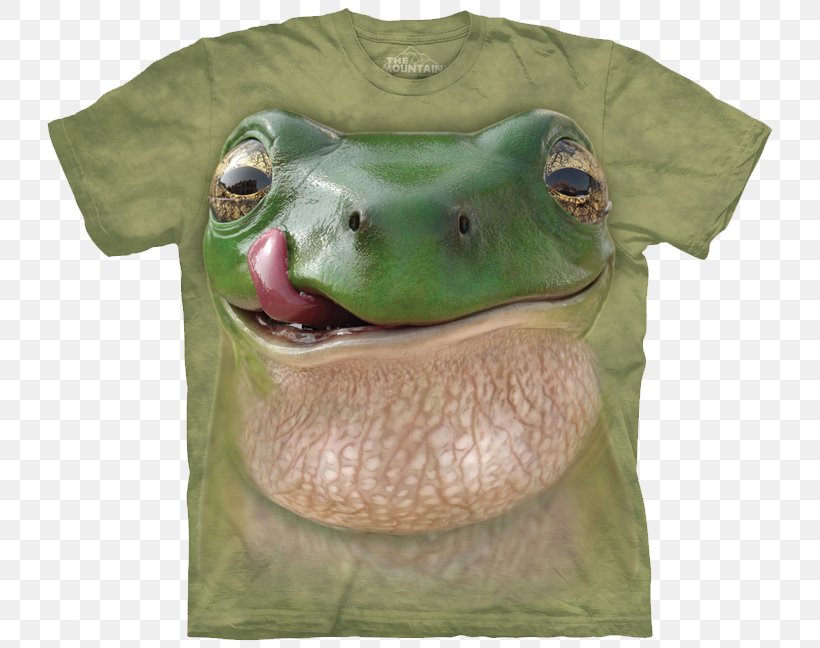 Big Frog Custom T-Shirts & More Printed T-shirt Clothing Sizes, PNG, 750x648px, Tshirt, Amphibian, Child, Clothing, Clothing Sizes Download Free