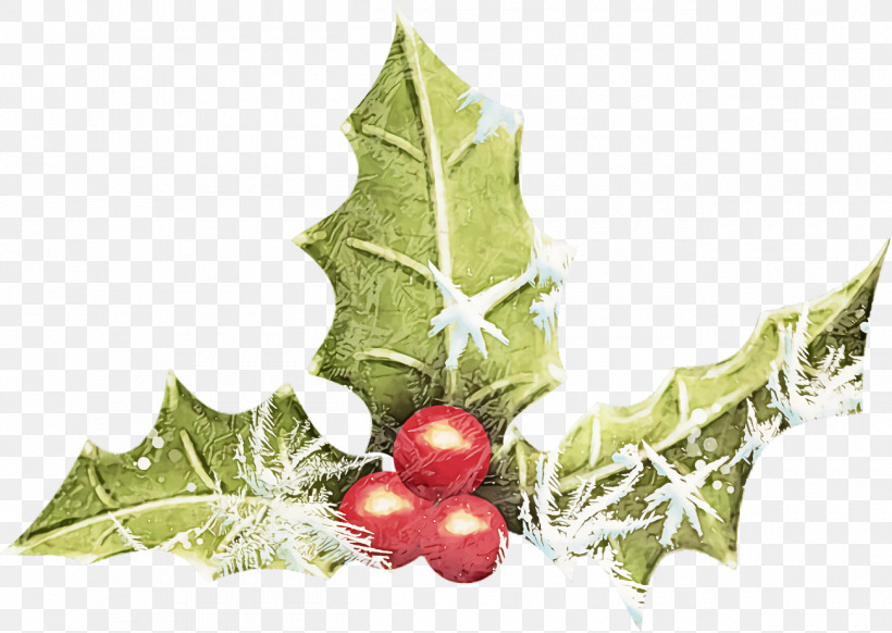 Christmas Holly Ilex Holly, PNG, 1300x924px, Christmas Holly, American Holly, Christmas, Flower, Holly Download Free