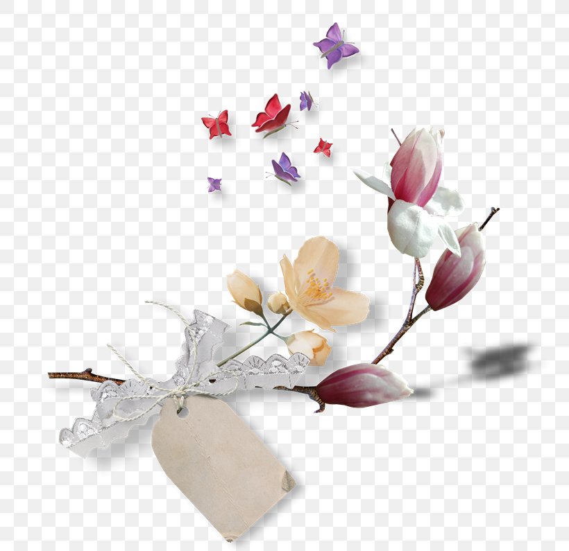 Image Clip Art Download, PNG, 800x795px, Comparazione Di File Grafici, Artificial Flower, Blossom, Branch, Cut Flowers Download Free