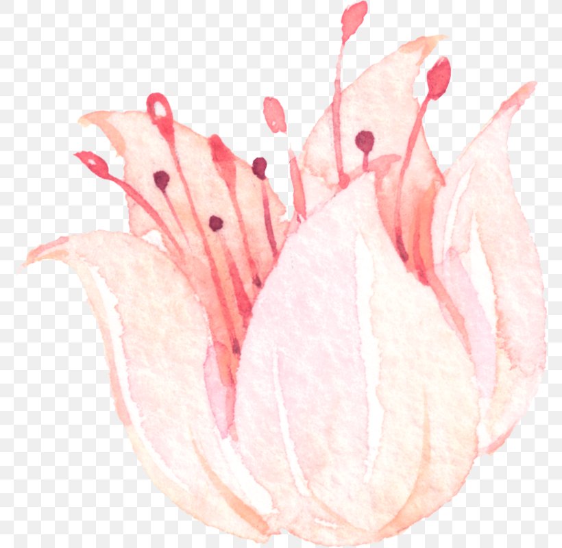Flower Pink Clip Art, PNG, 778x800px, Flower, Flowering Plant, Hand, Information, Ink Download Free