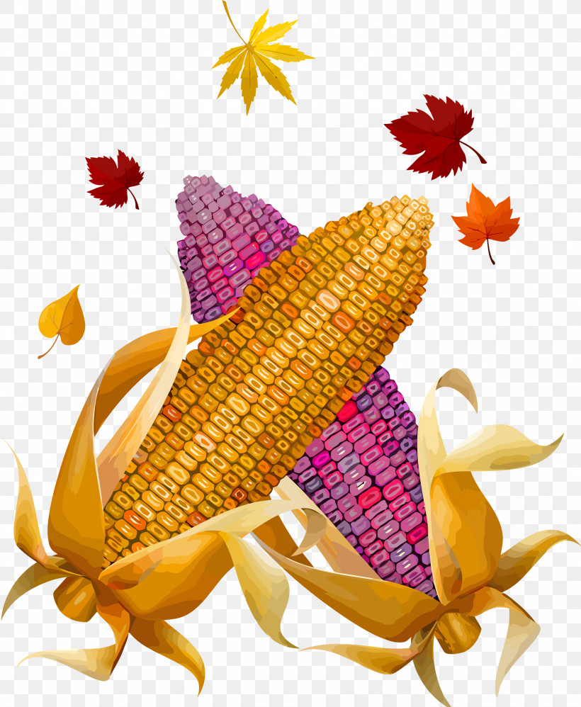 Thanksgiving Harvest, PNG, 2463x3000px, Thanksgiving, Biology, Commodity, Flower, Harvest Download Free