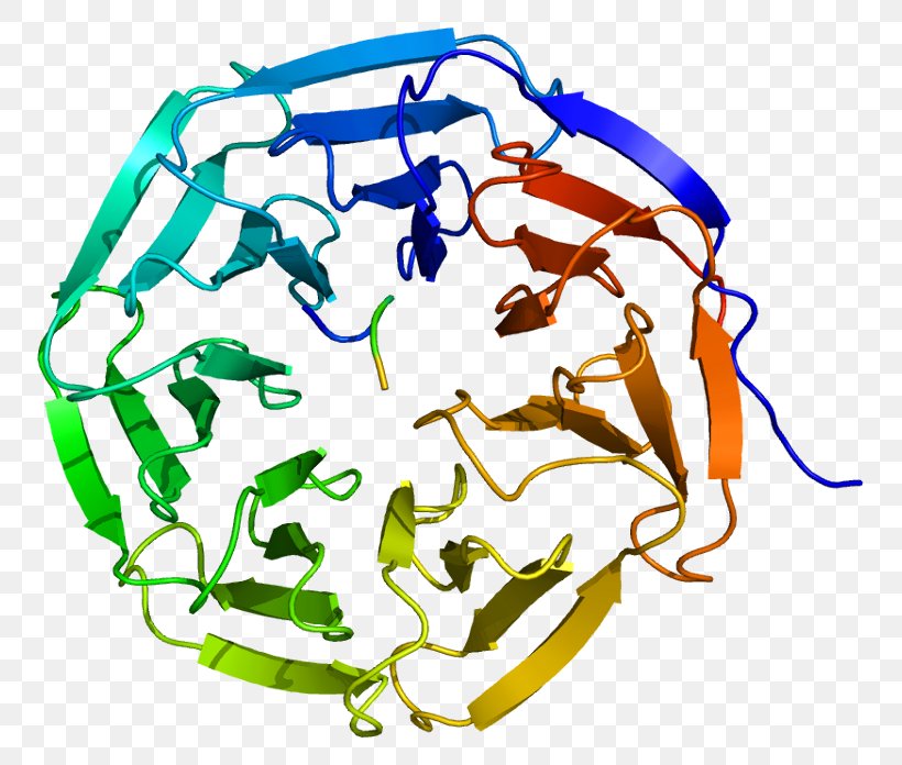 WDR5 WD40 Repeat Protein Family Acetyltransferase, PNG, 801x696px, Watercolor, Cartoon, Flower, Frame, Heart Download Free