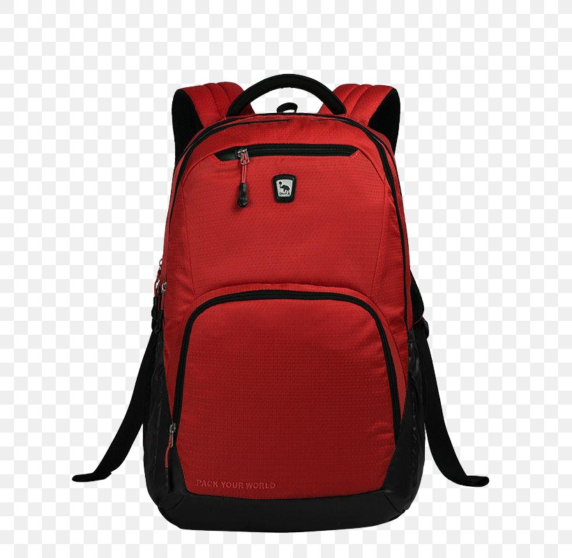 Backpack Handbag Satchel, PNG, 800x800px, Backpack, Bag, Baggage, Brand, Hand Luggage Download Free