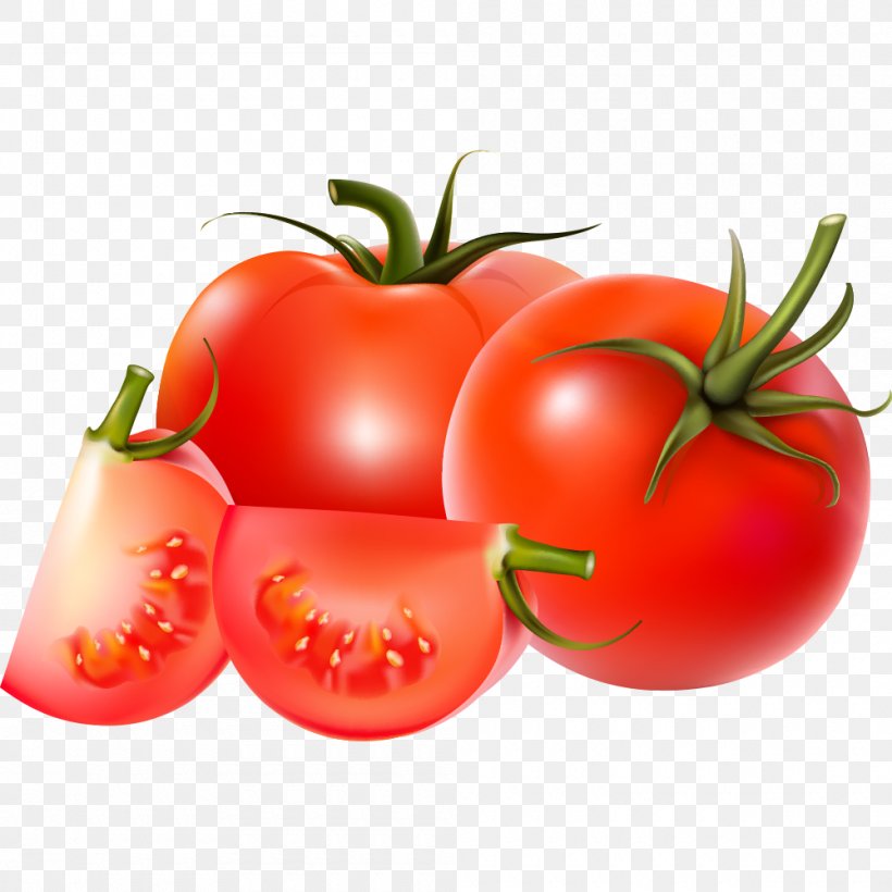 Cherry Tomato Vegetable Clip Art, PNG, 1000x1000px, Cherry Tomato, Bush ...
