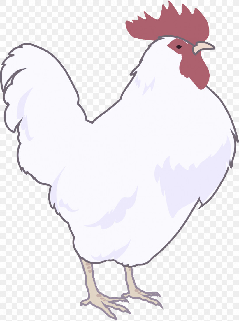 Chicken Rooster Bird Beak Comb, PNG, 894x1202px, Chicken, Beak, Bird, Cartoon, Comb Download Free