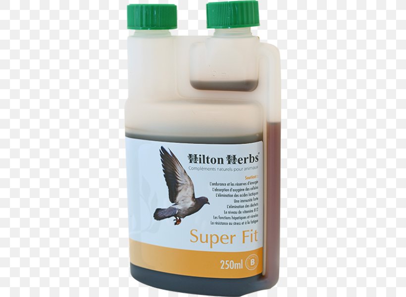 Columbidae Homing Pigeon Bird Racing Homer Dietary Supplement, PNG, 600x600px, Columbidae, Apple Cider Vinegar, Bird, Dietary Supplement, Domestic Pigeon Download Free