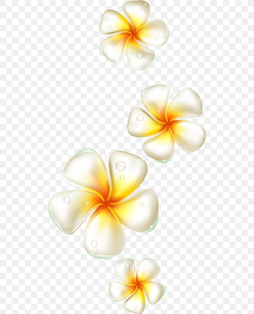 Flower Frangipani, PNG, 508x1013px, Flower, Flora, Floral Design, Floristry, Frangipani Download Free