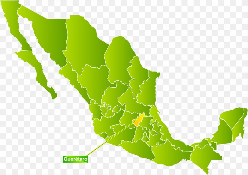Mexico United States Senate Elections, 2018 United States Senate Elections, 2016 United States Elections, 2018, PNG, 1246x880px, 2018, Mexico, Green, Leaf, Organism Download Free