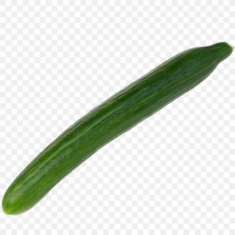 Pickled Cucumber Vegetable Melon Armenian Cucumber, PNG, 2480x2480px, Cucumber, Armenian Cucumber, Cucumber Gourd And Melon Family, Cucumis, Gherkin Download Free