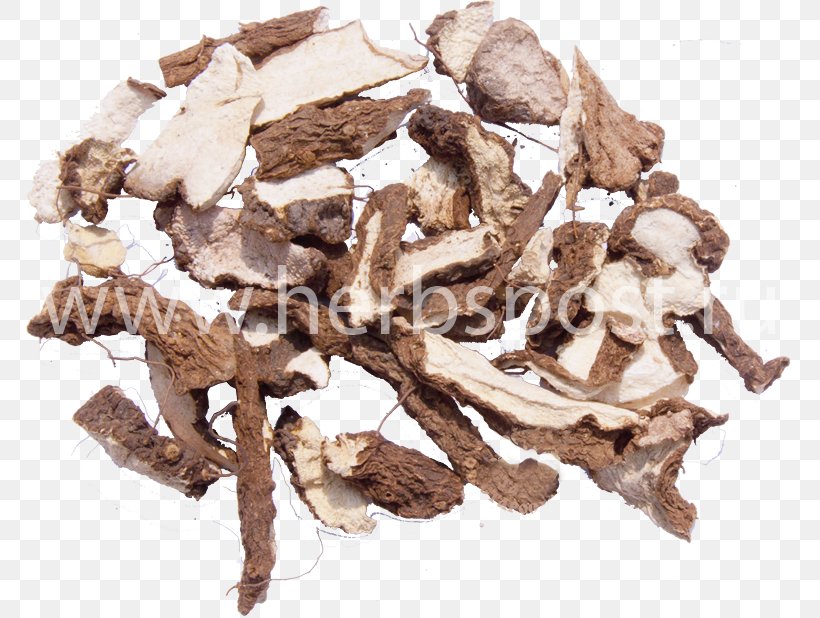 Root Medicinal Plants Tincture Herbaceous Plant, PNG, 768x618px, Root, Dianhong, Disease, Herb, Herbaceous Plant Download Free
