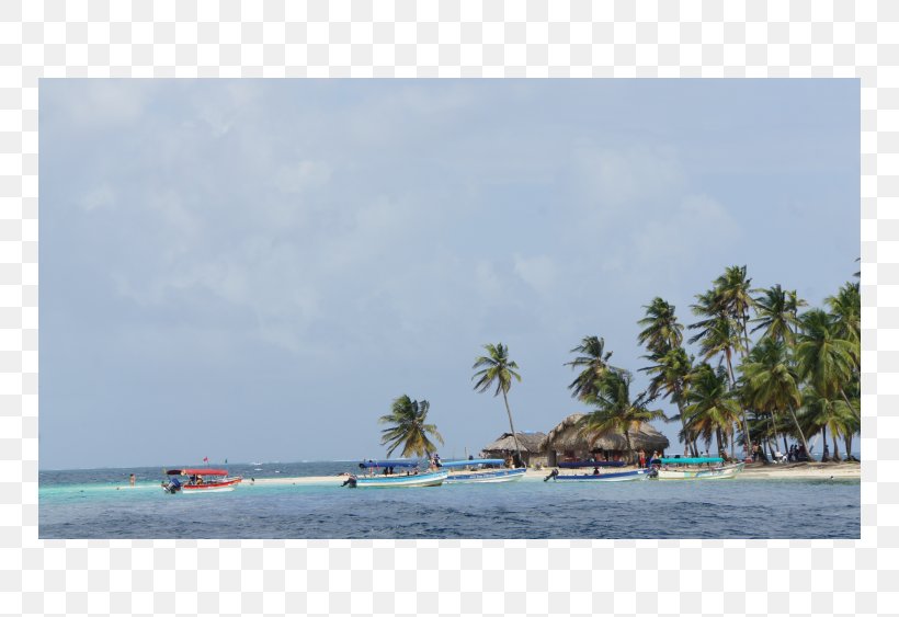 Caribbean Shore Cay Sea Beach, PNG, 750x563px, Caribbean, Arecaceae, Bay, Beach, Cay Download Free