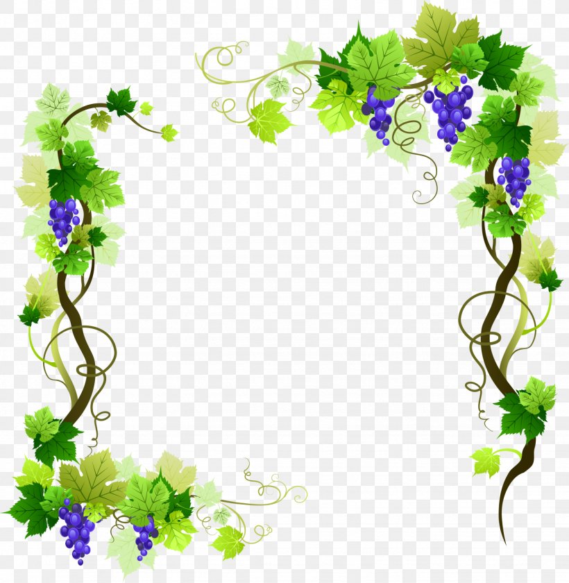 Common Grape Vine Vector Graphics Stock Illustration, PNG, 1334x1368px, Common Grape Vine, Border, Branch, Flora, Floral Design Download Free