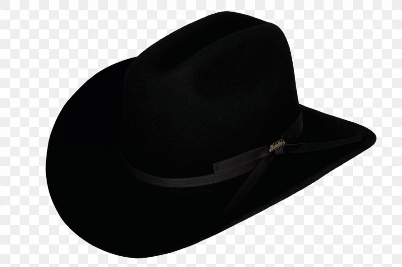 Fedora Black M, PNG, 1600x1066px, Fedora, Black, Black M, Fashion Accessory, Hat Download Free