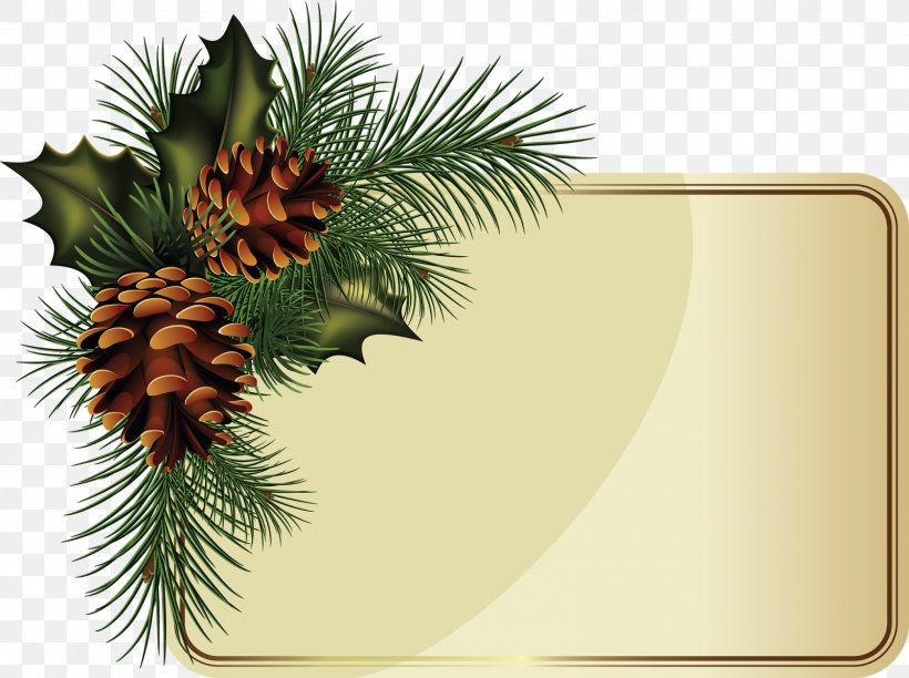 Fir Borders And Frames Conifer Cone Spruce, PNG, 1600x1195px, Fir, Borders And Frames, Christmas Decoration, Christmas Ornament, Cone Download Free